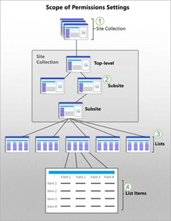 Office 365 and SharePoint permissions