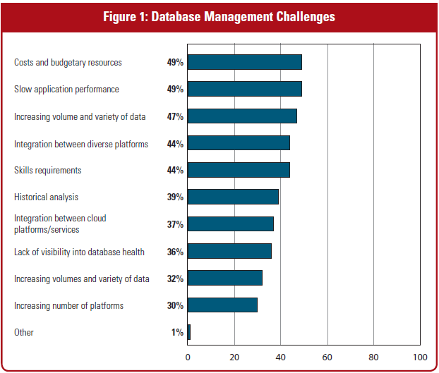 Cloud Application Performance Matters to the CIO