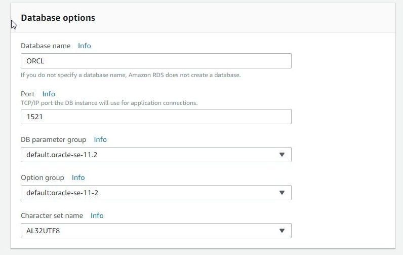 Figure 9. Selecting or setting Database Options
