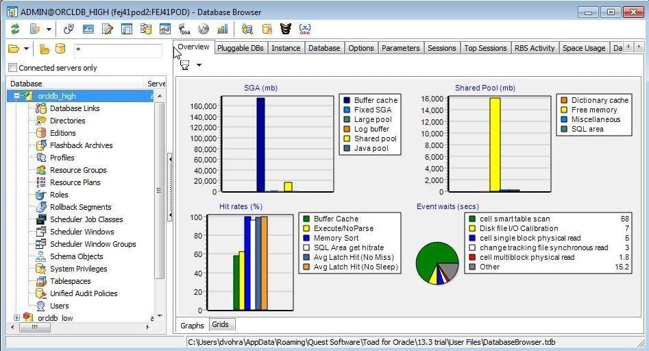 Figure 24. Database Browser>Overview”></p>
<p><em>Figure 24. Database Browser>Overview</em></p>
<p>The <strong>Instance </strong>tab (Figure25) displays information such as SID, Version, Startup time, Status, Parallel status, number of threads, Archiver status, and instance role. </p>
<p><img decoding=