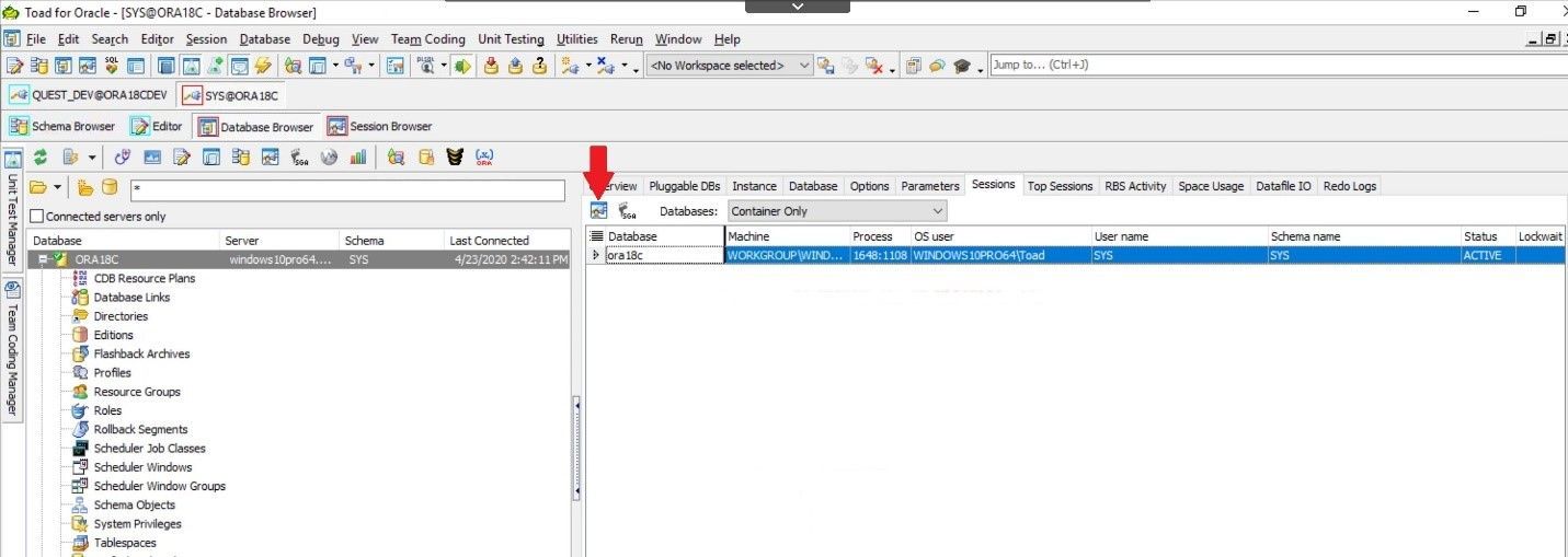 Toad for Oracle. Database Browser. Click on the Session Browser in the upper left.
