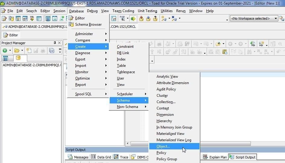 Database>Create>Schema>Object”></p>
<p><em><span>Figure 1. Database>Create>Schema>Object</span></em></p>
<p>The <span>Create Object Type</span> dialog is displayed (Figure 2.).</p>
<p><img decoding=