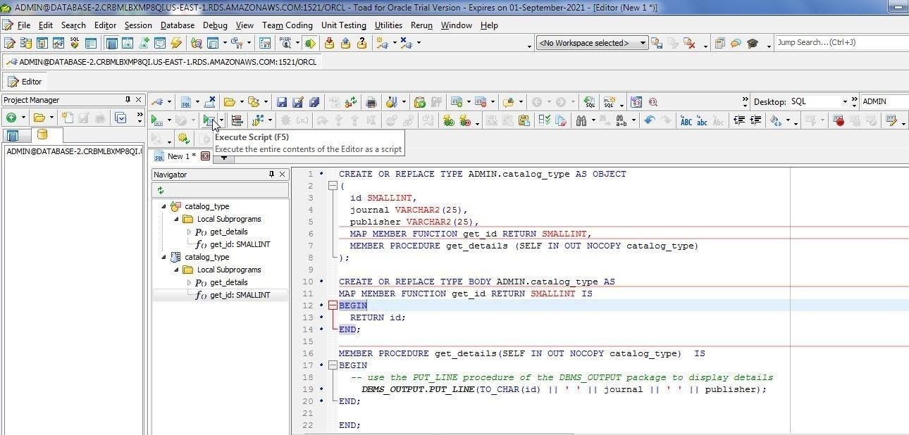 Execute Script