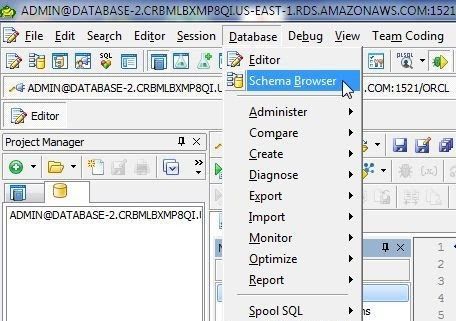 Database>Schema Browser”></p>
<p><em><span>Figure 16. Database>Schema Browser</span></em></p>
<p>Select<span>Types</span> from the drop-down in the Schema Browser. The new object type called <span>CATALOG_TYPE</span> that we created is listed (Figure 17).</p>
<p><img decoding=