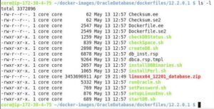 Modularization by using Oracle Database Containers and PDBs on Docker Engine