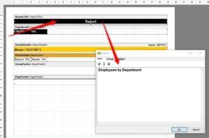 Print Data Using FastReport