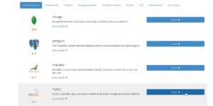 Using MySQL Database on AWS with Docker Cloud