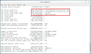 Configure IBM Db2 LUW v11.1 for SSL connections (self-signed certificate)