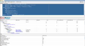 Comparison of SQL Queries Using Toad for Oracle “Auto Optimize SQL” vs. Oracle SQL Developer “Autotrace”