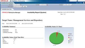 Integration of BI Publisher with EM 12.1.0.4