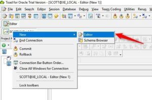 The Toad for Oracle Editor Window