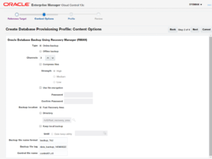 Database as a Service using Enterprise Manager – Part VIII
