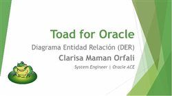 Diagrama Entidad Relación (DER)