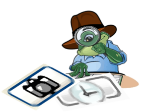Raiders of the “Lost” Toad: Undiscovered Gems—Cameras and Watches