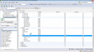 Introduction to the enhanced OBIEE connector in Toad Data Point