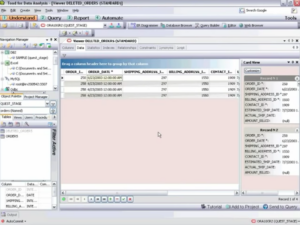 Toad Data Point – The Database Browser