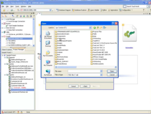 Toad Data Point – Data Reports