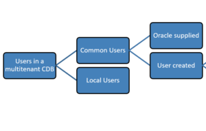 Oracle Multitenant Application Containers – Part XII Application Containers and COMMON_USER_PREFIX