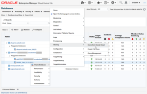 Oracle Hybrid Database Cloud using Enterprise Manager – Part XVII