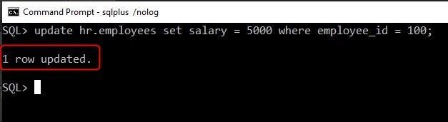 Figure 6: Update record on SQLPlus