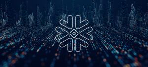 Snowflake data management